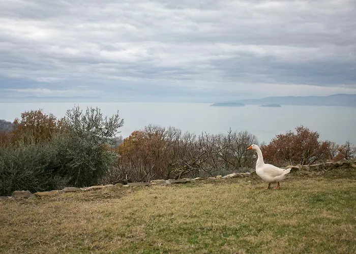 Villa Marghi Magione
